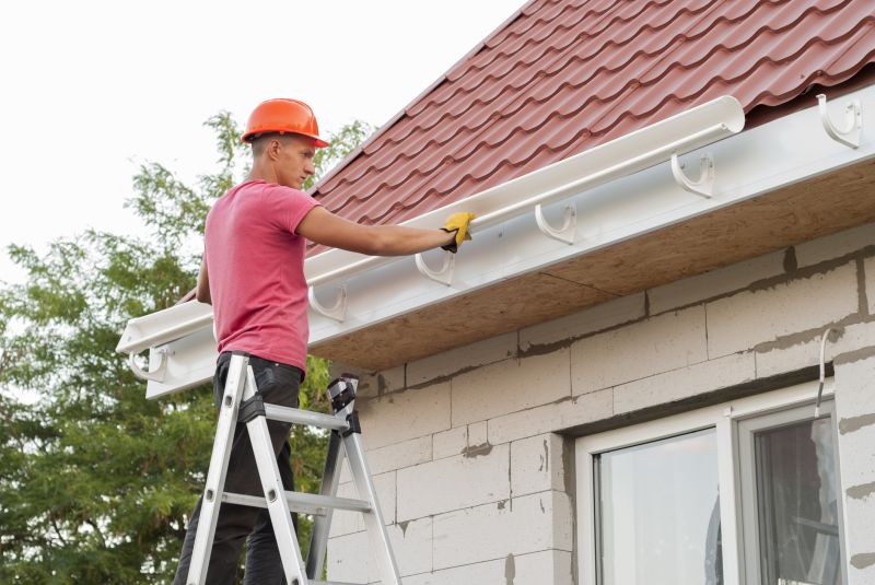Gutter and Fascia Repair